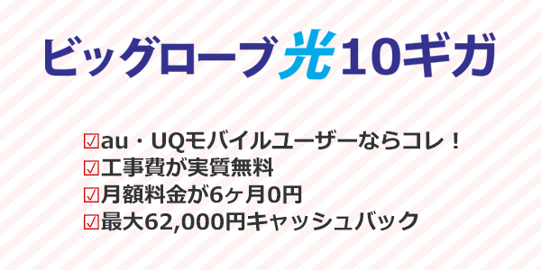 ビッグローブ光10ギガの特徴まとめ