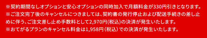 AiR WiFiの公式サイトのスクショ画像