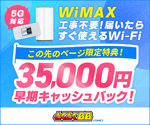 GMOとくとくBB WiMAXの画像