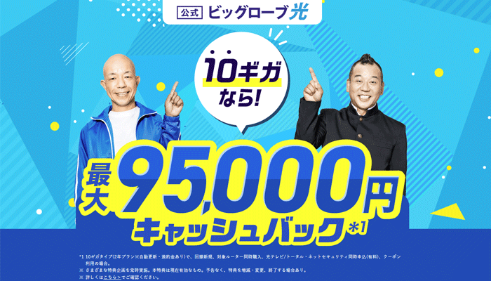 ビッグローブ光のLP画像