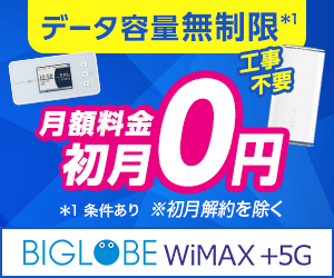 BIGLOBE WiMAXの画像