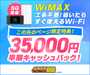 GMOとくとくBB WiMAXの画像
