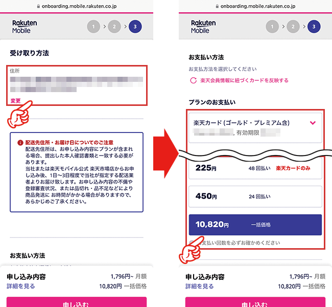 受け取りと支払い方法と楽天ポイント使用の有無を選択